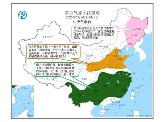 9岁围棋少年意外坠亡父亲发声回应家暴质疑：从来没有打伤过他 来听新闻(图11)