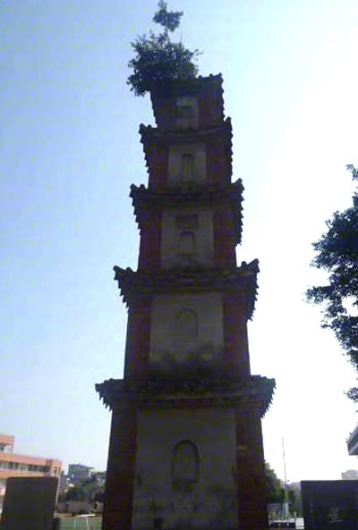 【文体艺苑】2017国际象棋大奖赛 侯逸凡成首位参赛女将(图4)