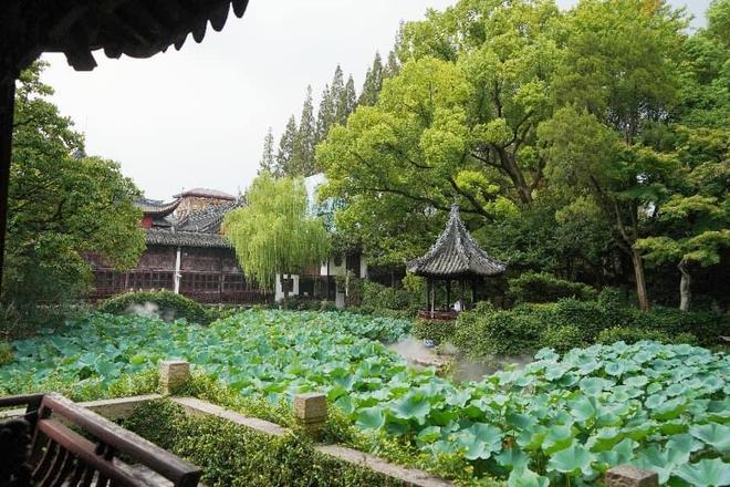 上合国象巅峰对决专属礼遇来咯～(图4)