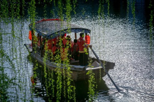 跟着赛事去旅行 2025年山东省国际象棋等级赛在台儿庄古城盛大举行(图4)