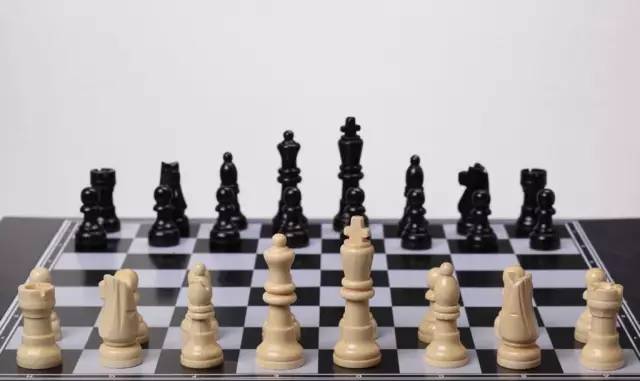 世界冠军波尔加给家长的建议--关于孩子学习国际象棋(图6)
